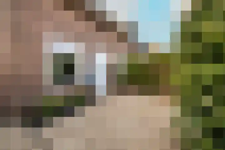 's-Gravendamseweg 37 A Noordwijkerhout thumbnail 27