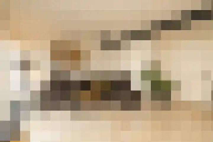 's-Gravendamseweg 37 A Noordwijkerhout thumbnail 4