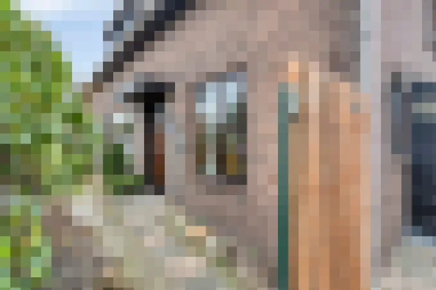 's-Gravendamseweg 39 Noordwijkerhout thumbnail 15