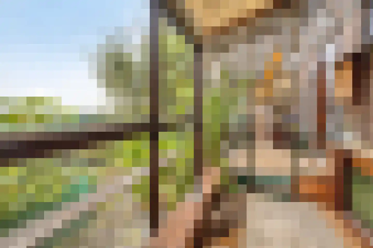 's-Gravendamseweg 39 Noordwijkerhout thumbnail 47
