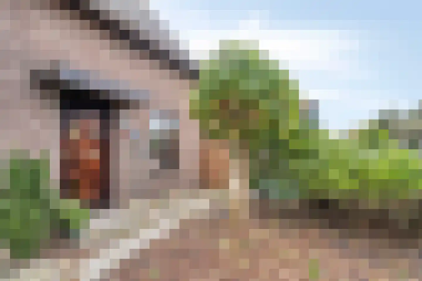 's-Gravendamseweg 39 Noordwijkerhout thumbnail 57