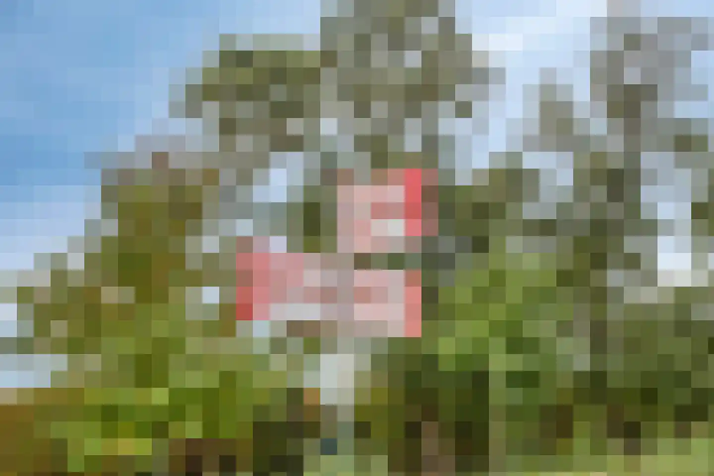 's-Gravendamseweg 39 Noordwijkerhout thumbnail 62