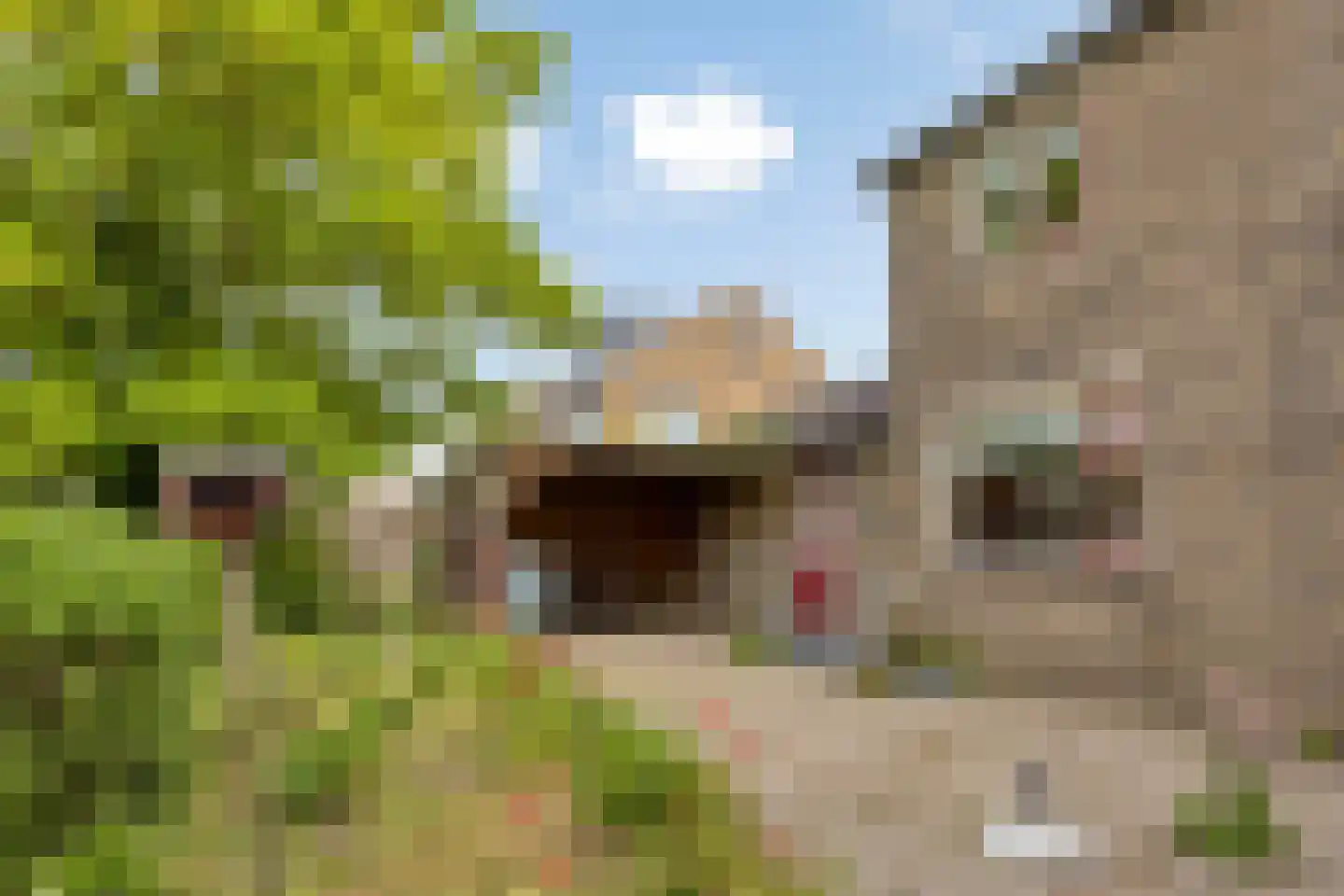 's-Gravendamseweg 47 A Noordwijkerhout thumbnail 40
