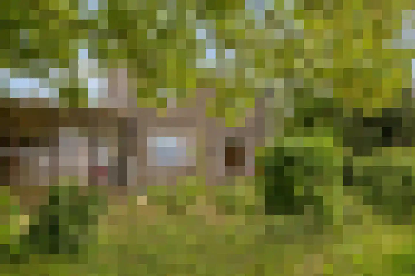 's-Gravendamseweg 47 A Noordwijkerhout thumbnail 41