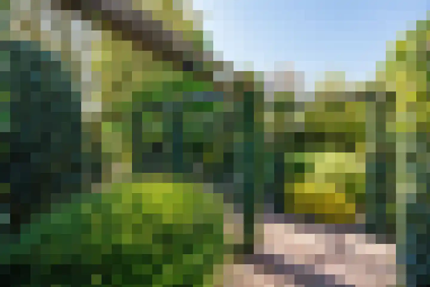 's-Gravendamseweg 6 A Noordwijkerhout thumbnail 32