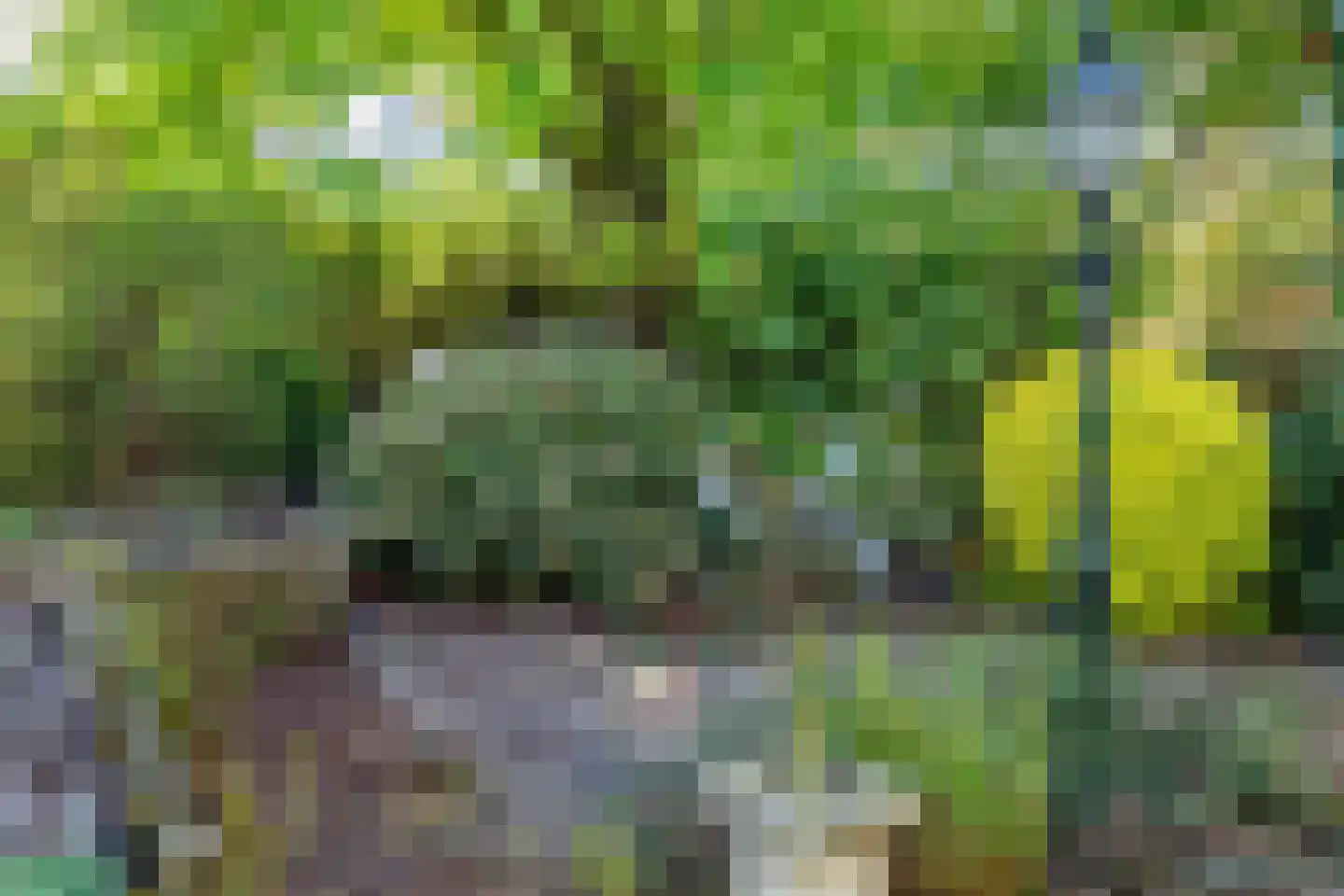 's-Gravendamseweg 6 A Noordwijkerhout thumbnail 33