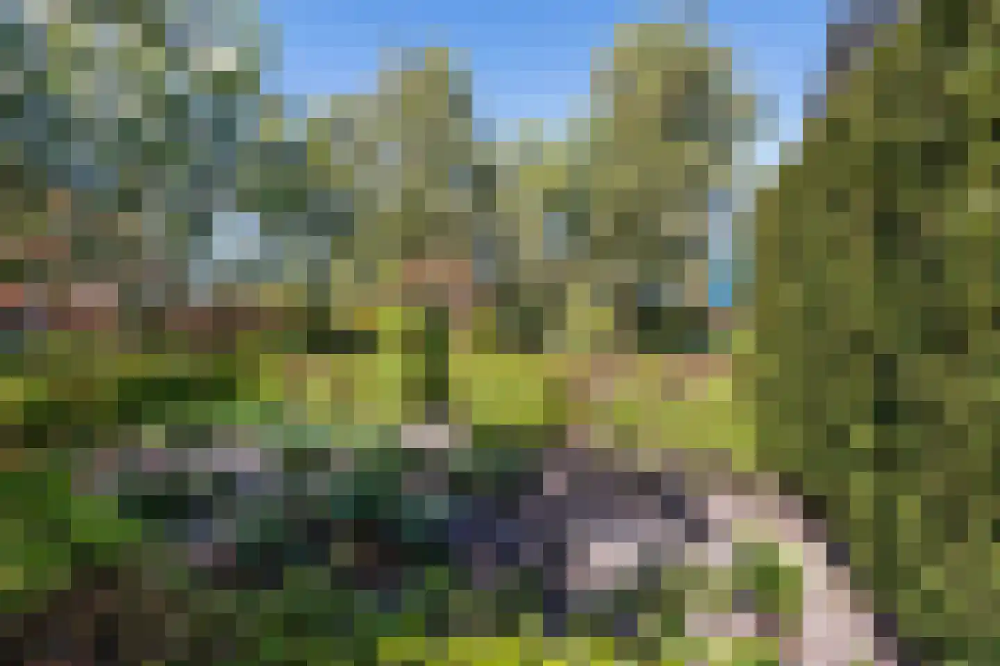 's-Gravendamseweg 6 A Noordwijkerhout thumbnail 34