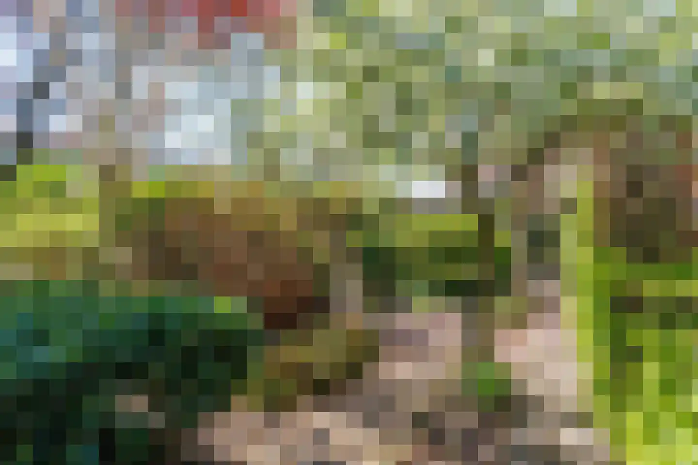 's-Gravendamseweg 6 A Noordwijkerhout thumbnail 37