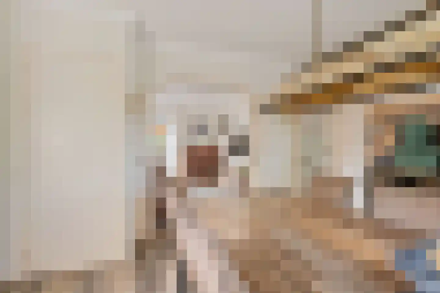 's-Gravendamseweg 67 Voorhout thumbnail 8