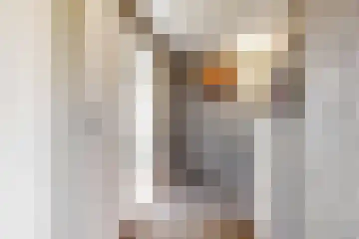 's-Gravendamseweg 8 Voorhout thumbnail 15