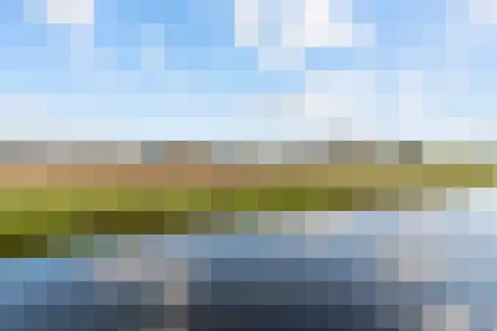 's-Gravendamseweg 8 Voorhout thumbnail 31