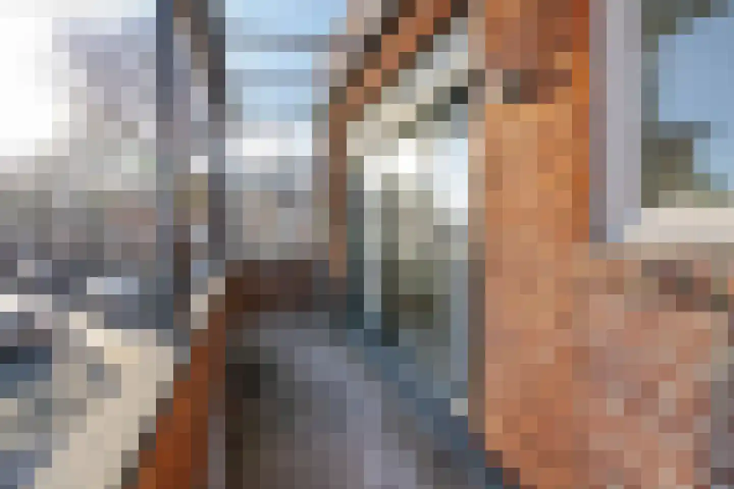 's-Gravendeelstraat 24 B Rotterdam thumbnail 13
