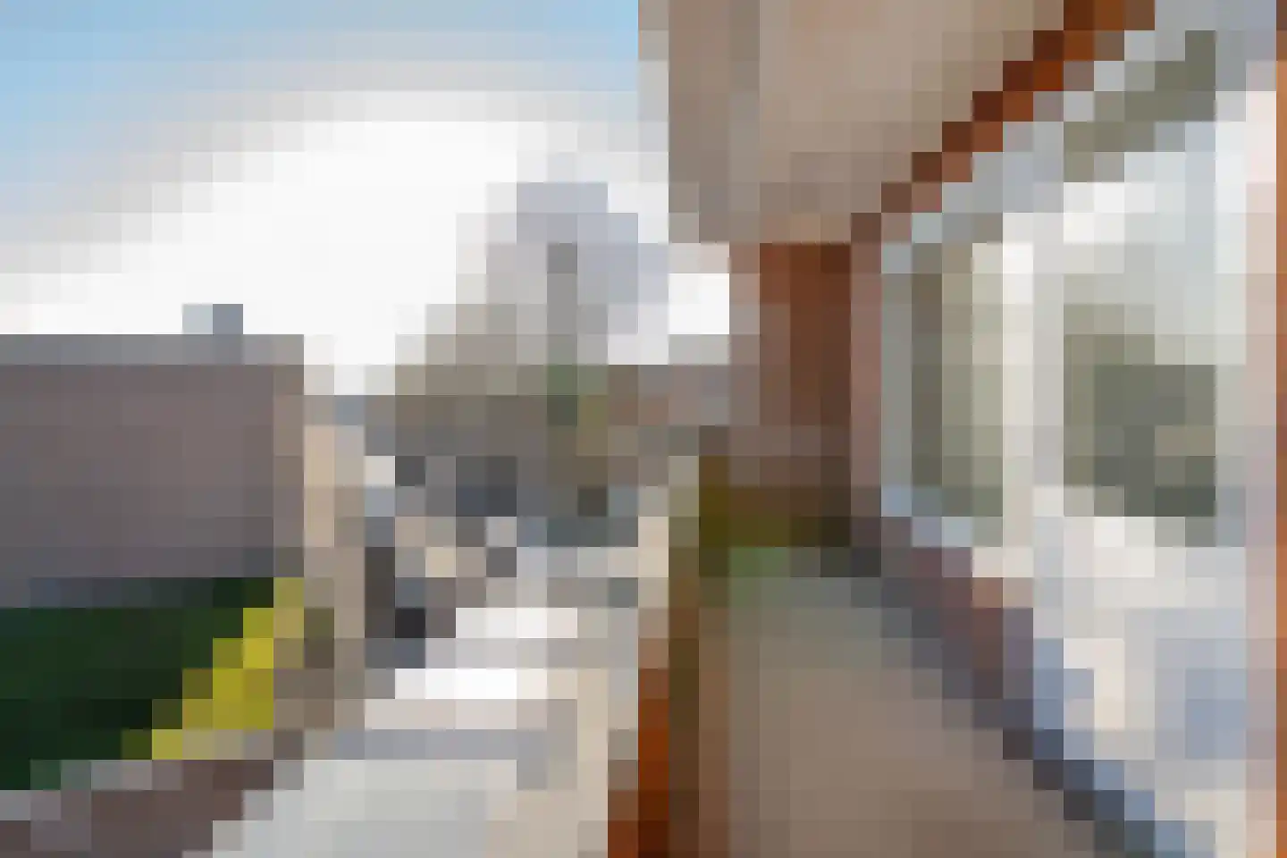 's-Gravendeelstraat 24 B Rotterdam thumbnail 31