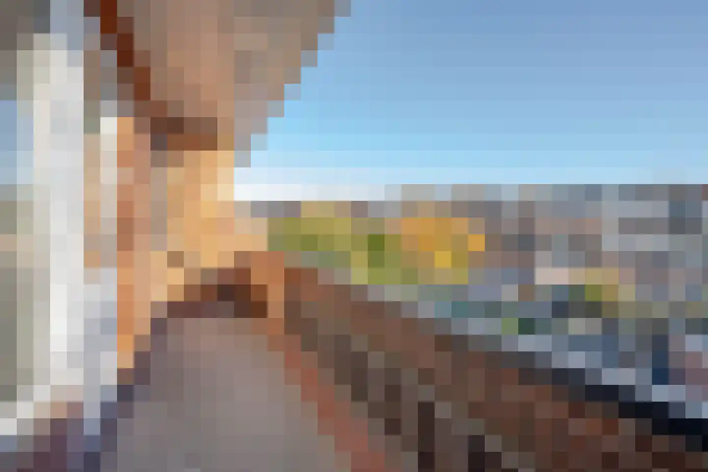 's-Gravendeelstraat 24 B Rotterdam thumbnail 32