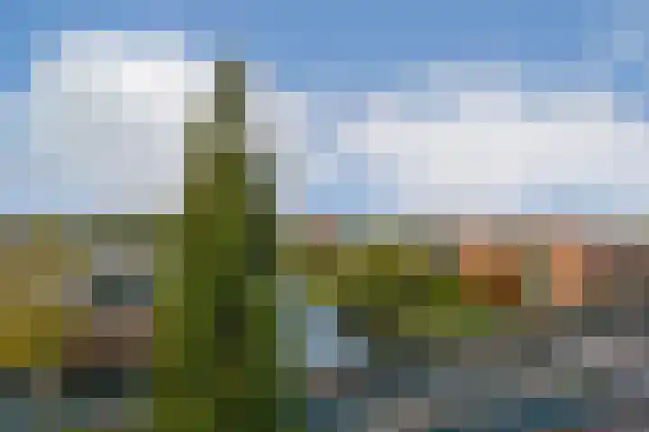 's-Gravendijkdreef 265 Amsterdam thumbnail 10