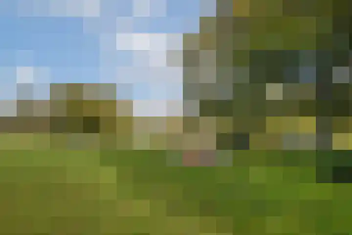 's-Gravendijkdreef 265 Amsterdam thumbnail 25