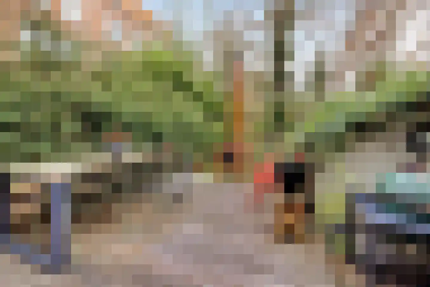 's-Gravendijkwal 101 Rotterdam thumbnail 24