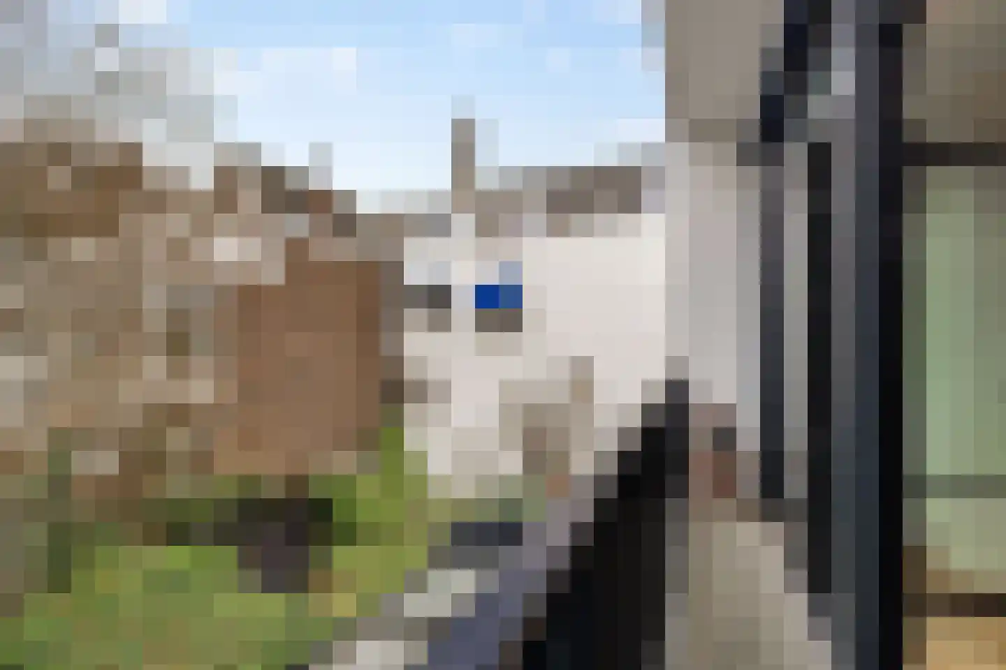 's-Gravendijkwal 101 Rotterdam thumbnail 48
