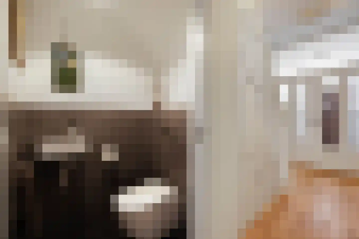 's-Gravendijkwal 101 Rotterdam thumbnail 9