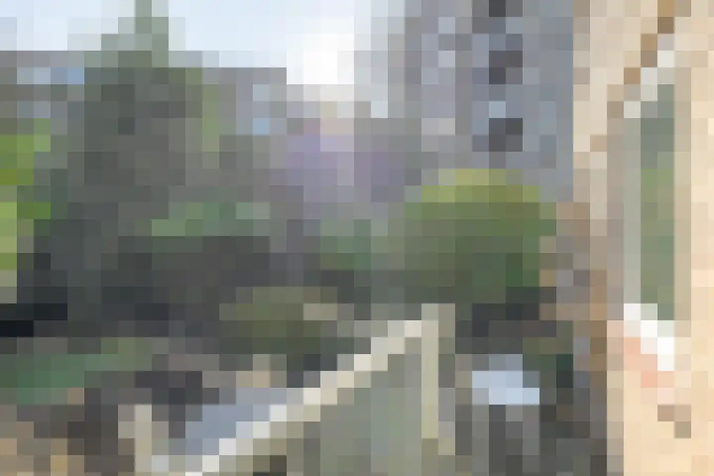 's-Gravendijkwal 152 B Rotterdam thumbnail 21