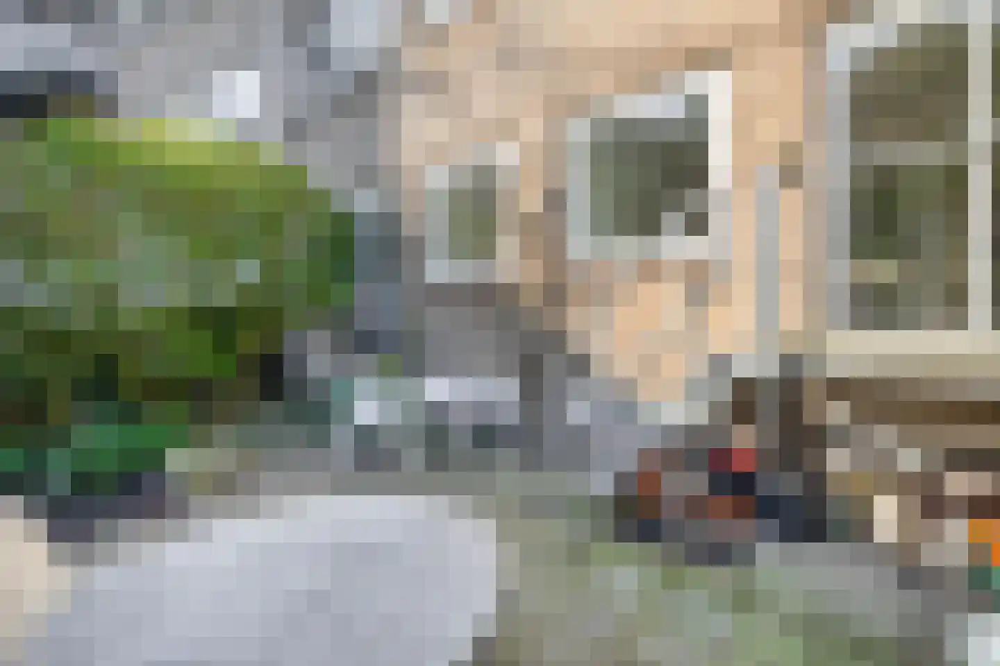 's-Gravendijkwal 152 B Rotterdam thumbnail 24