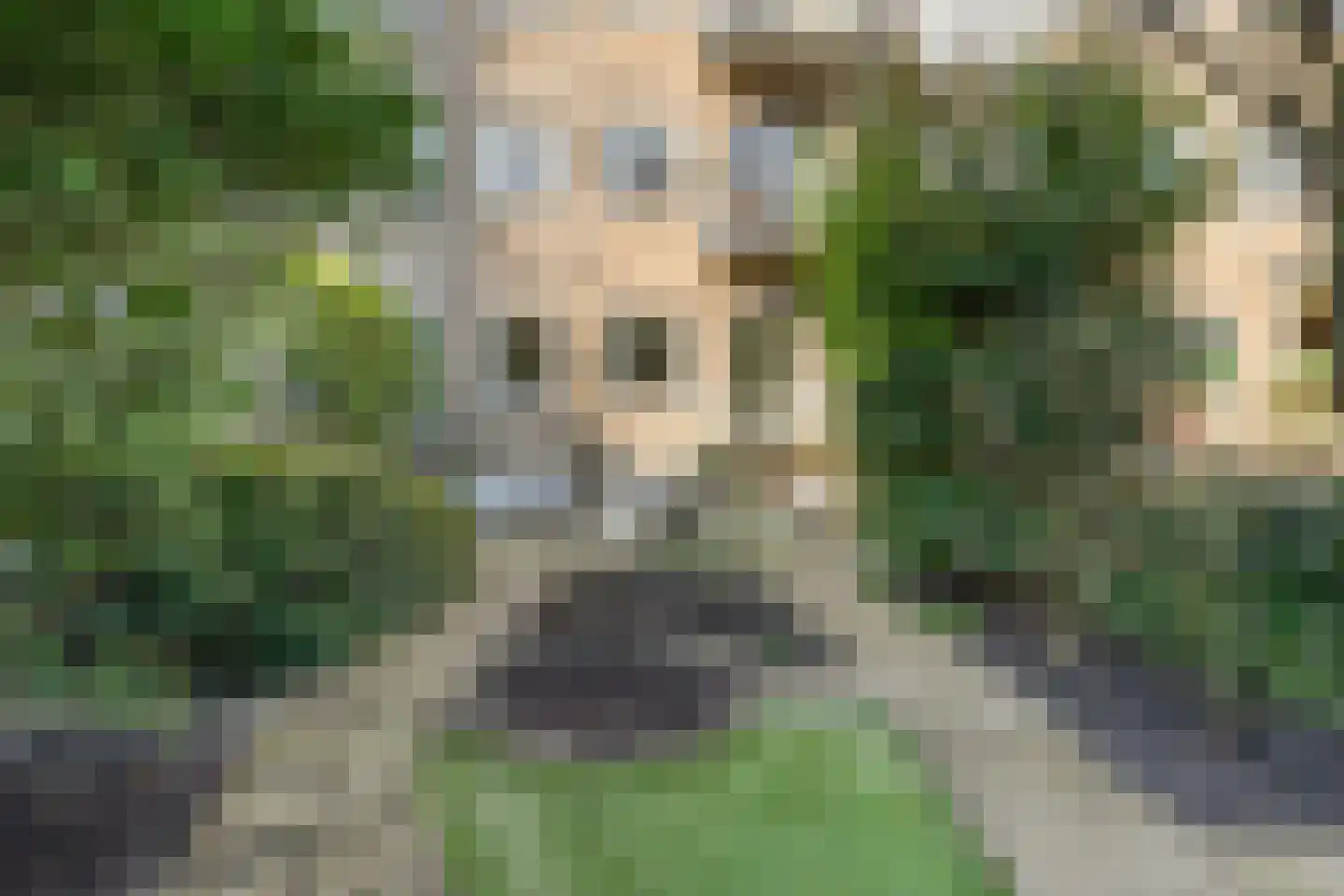 's-Gravendijkwal 152 B Rotterdam thumbnail 27