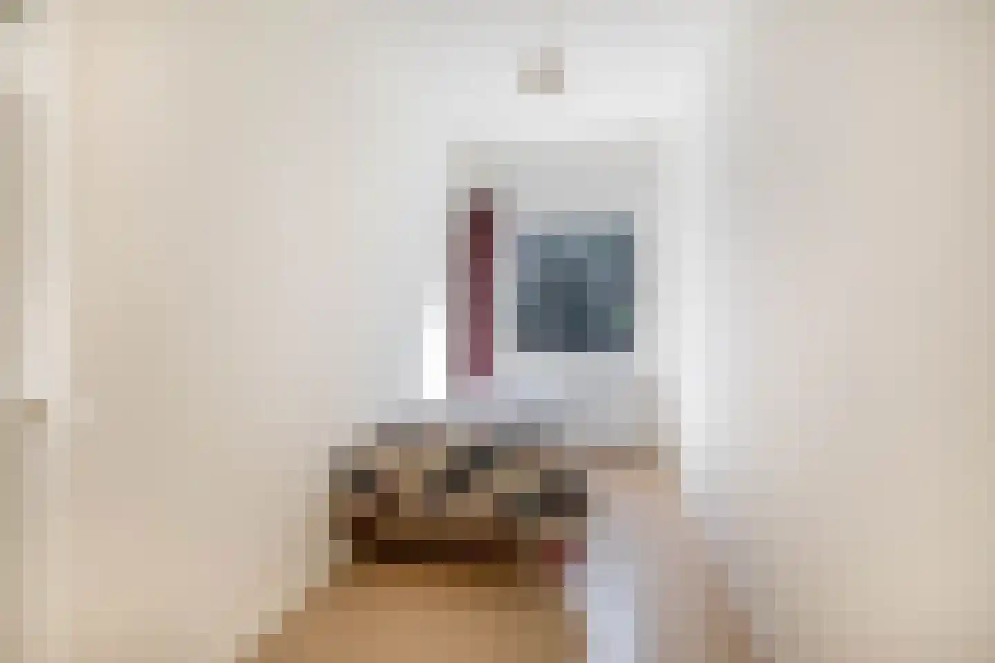 's-Gravendijkwal 152 B Rotterdam thumbnail 35