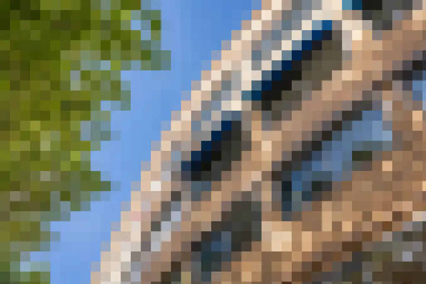 's-Gravendijkwal 152 B Rotterdam thumbnail 43