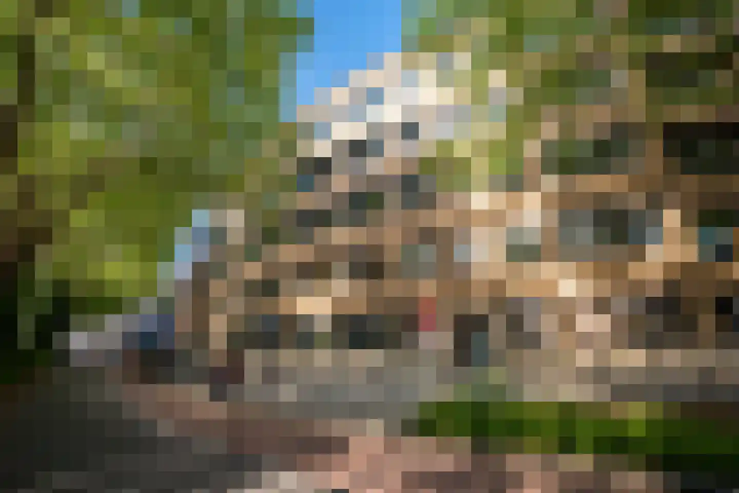 's-Gravendijkwal 152 B Rotterdam thumbnail 5