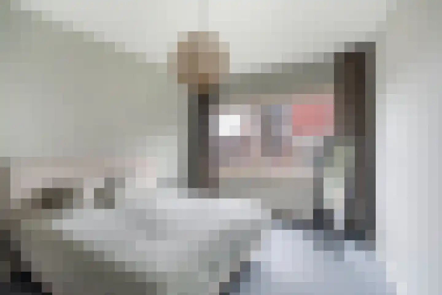 's-Gravendijkwal 152 E Rotterdam thumbnail 30