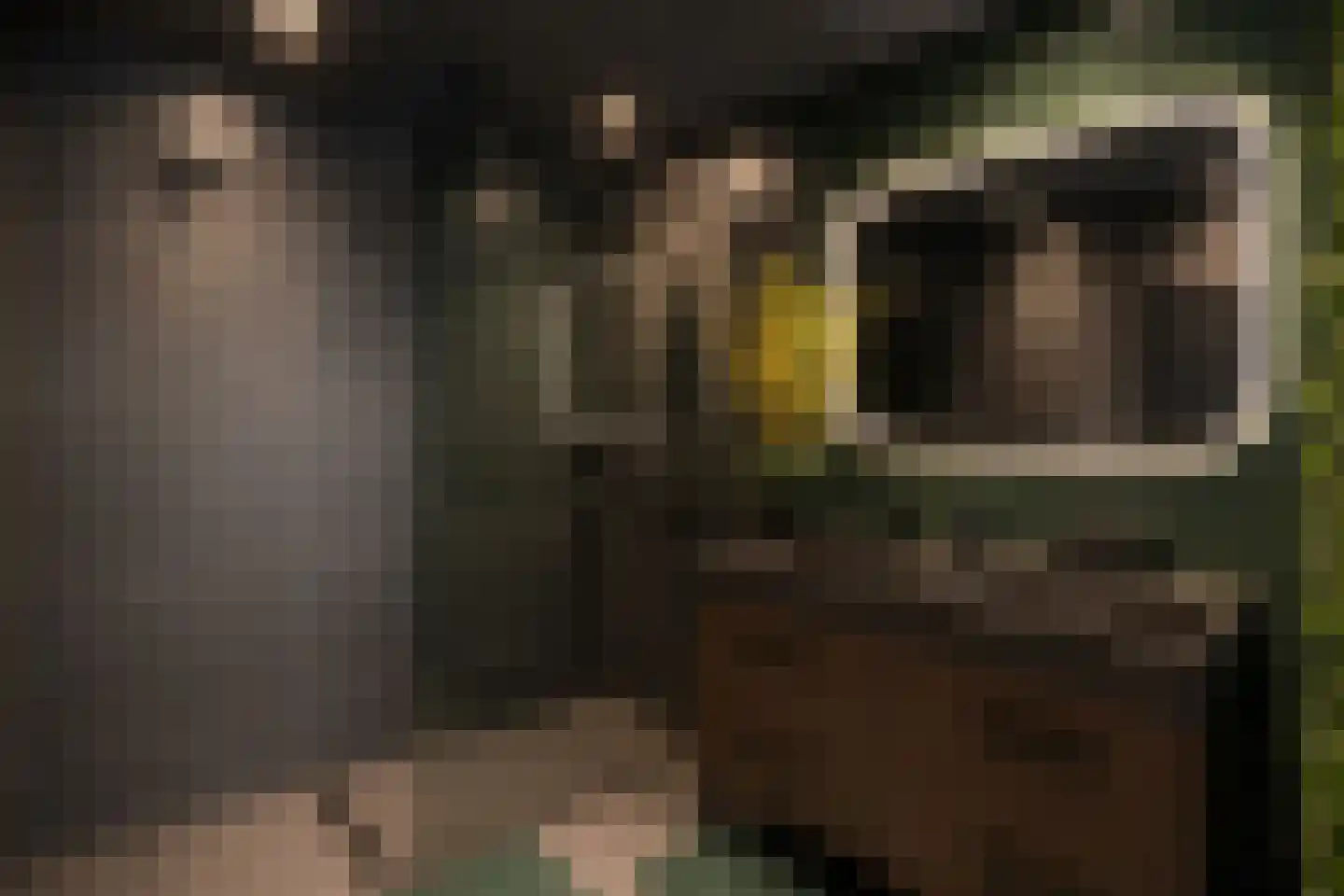 's-Gravendijkwal 160 A Rotterdam thumbnail 9