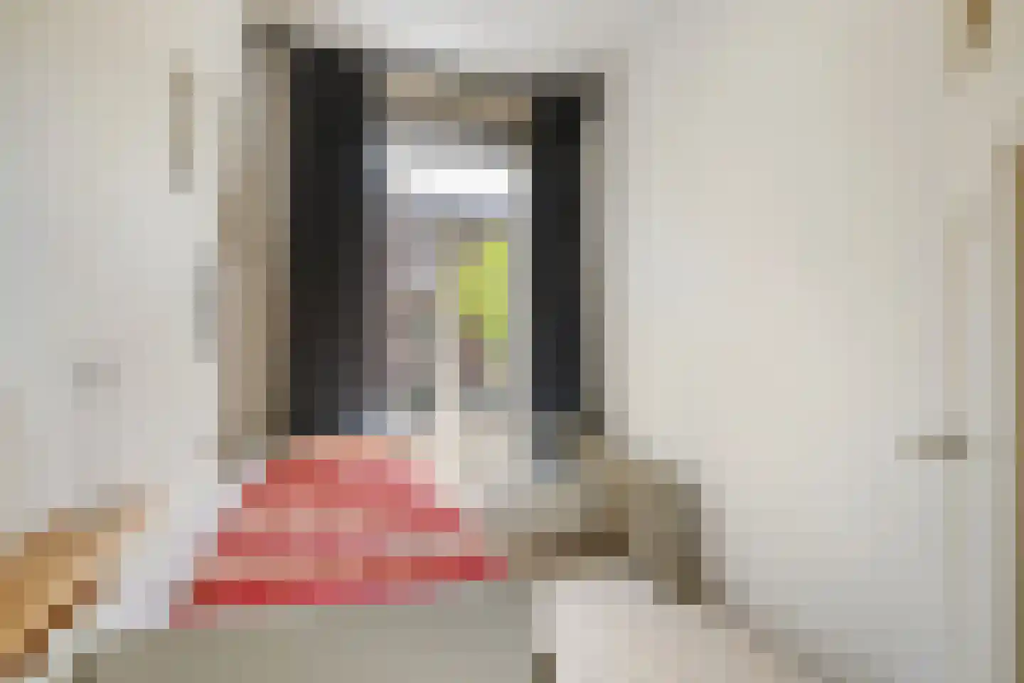 's-Gravendijkwal 19 Rotterdam thumbnail 21