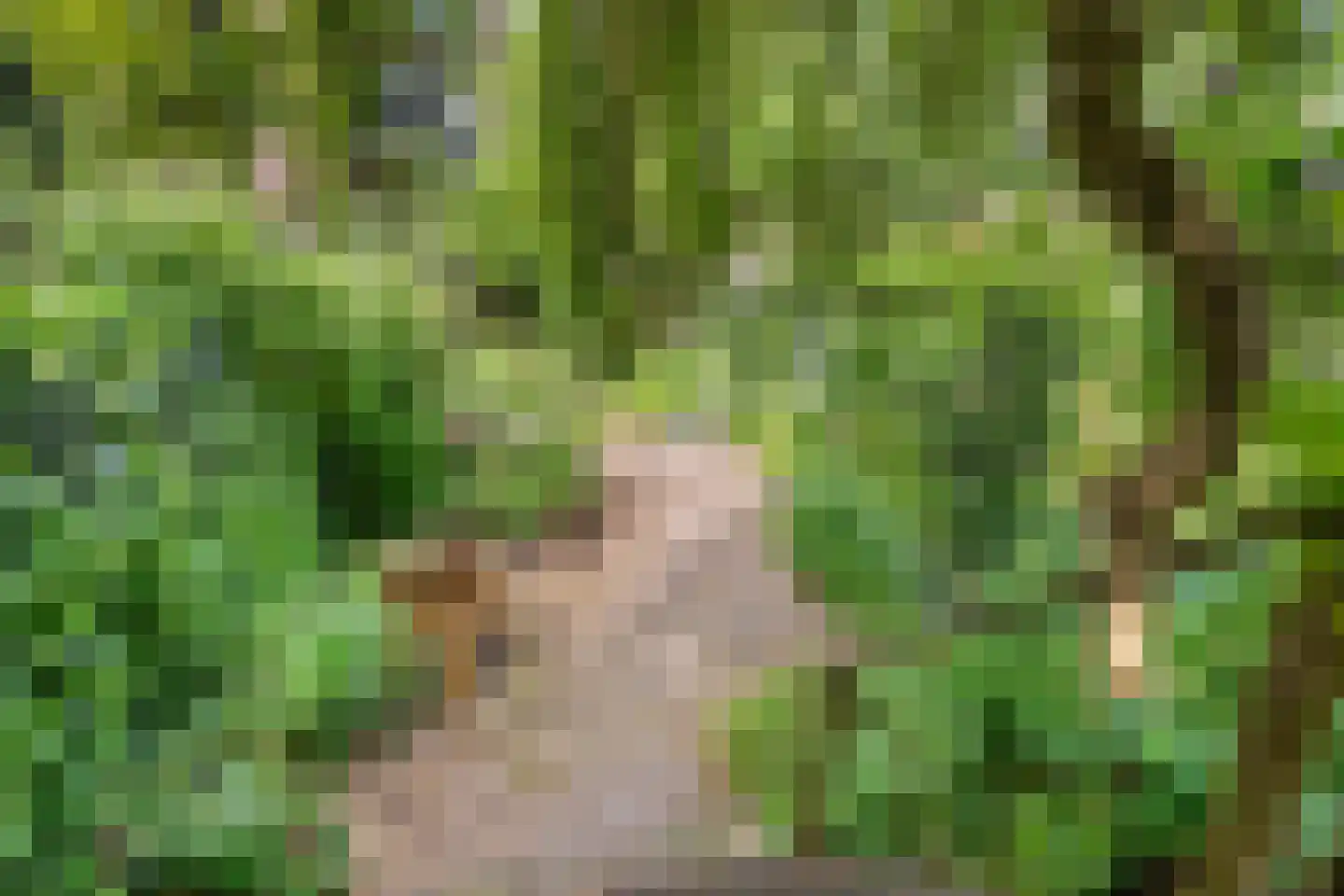 's-Gravendijkwal 19 Rotterdam thumbnail 31