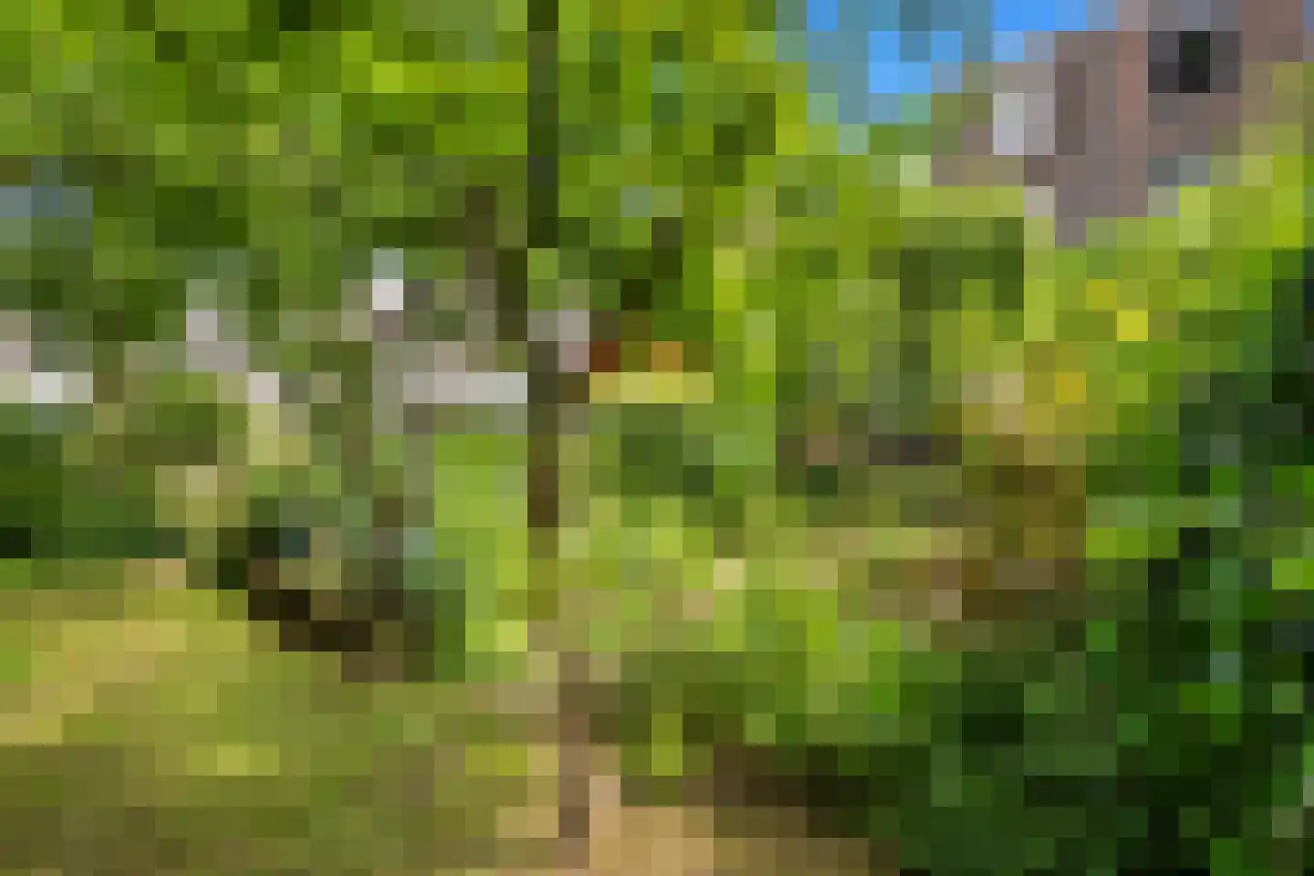 's-Gravendijkwal 19 Rotterdam thumbnail 32
