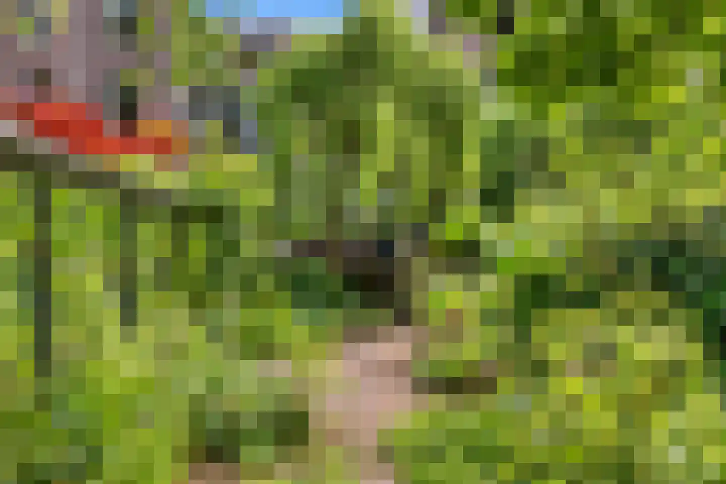 's-Gravendijkwal 19 Rotterdam thumbnail 33