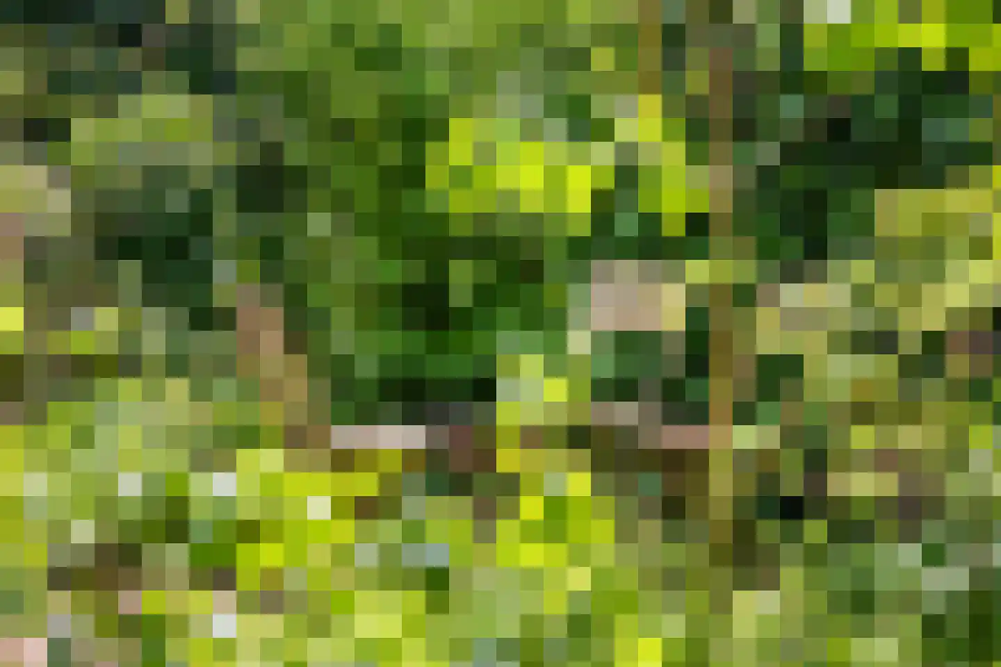 's-Gravendijkwal 19 Rotterdam thumbnail 34