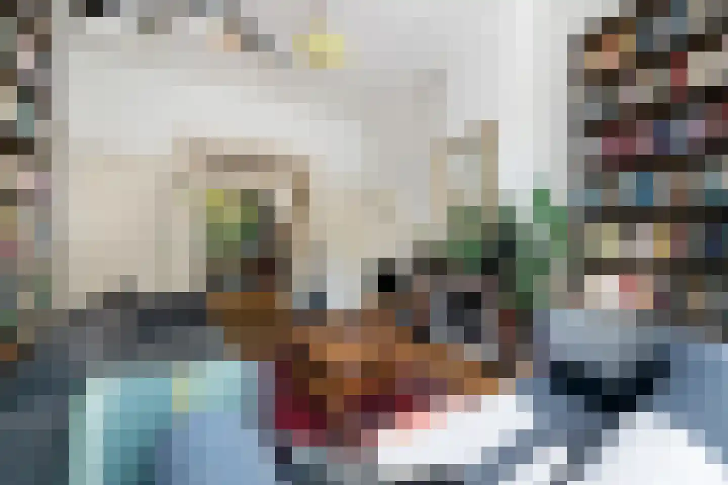 's-Gravendijkwal 19 Rotterdam thumbnail 5