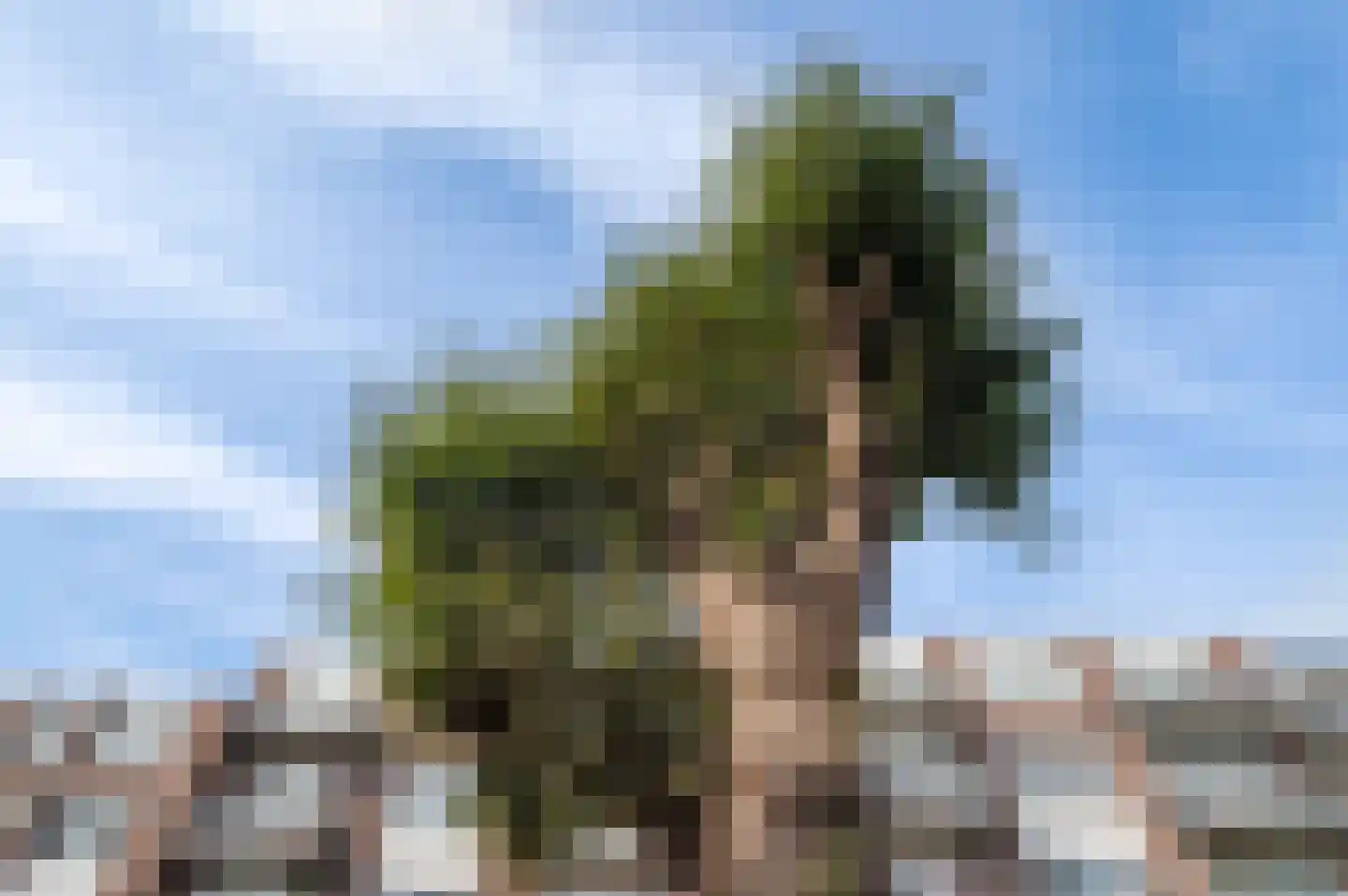's-Gravendijkwal 35 Rotterdam thumbnail 13
