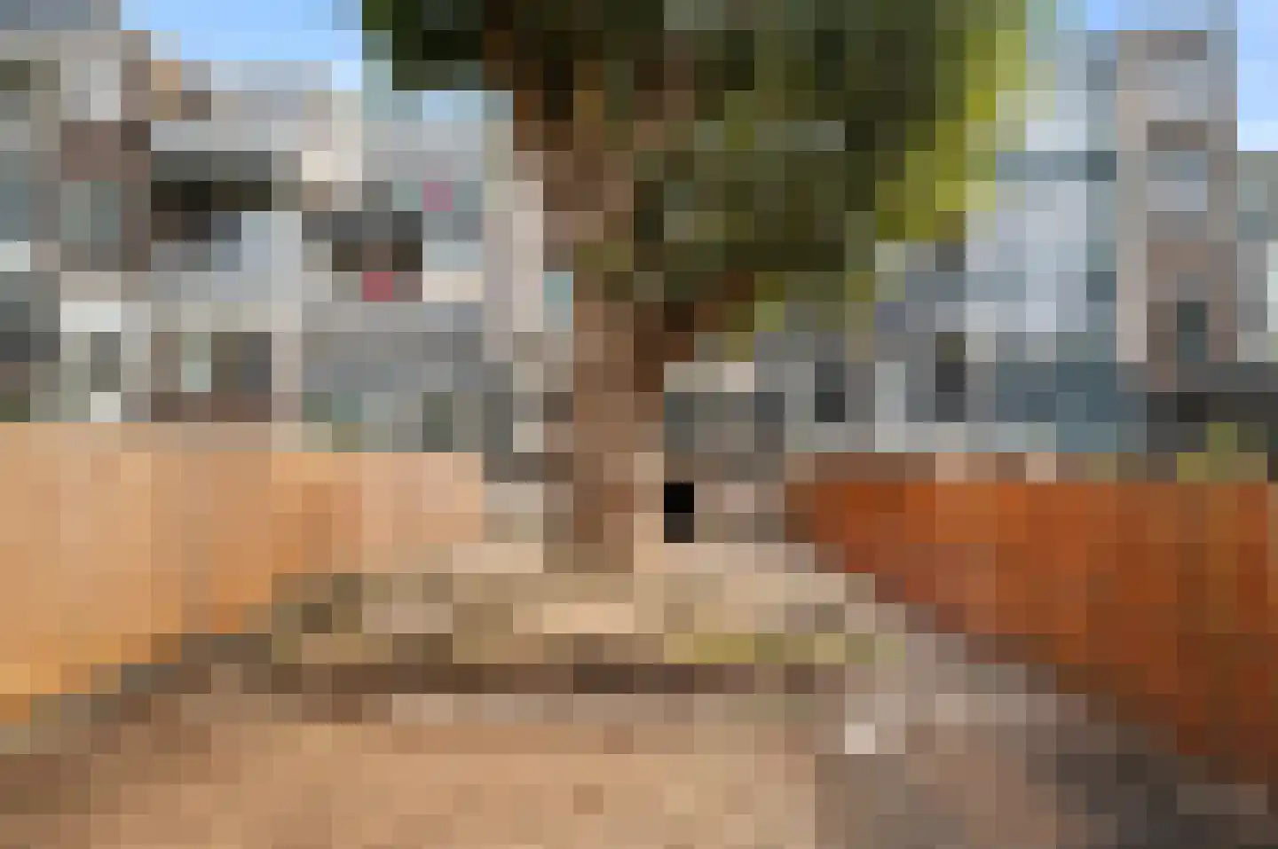 's-Gravendijkwal 35 Rotterdam thumbnail 14