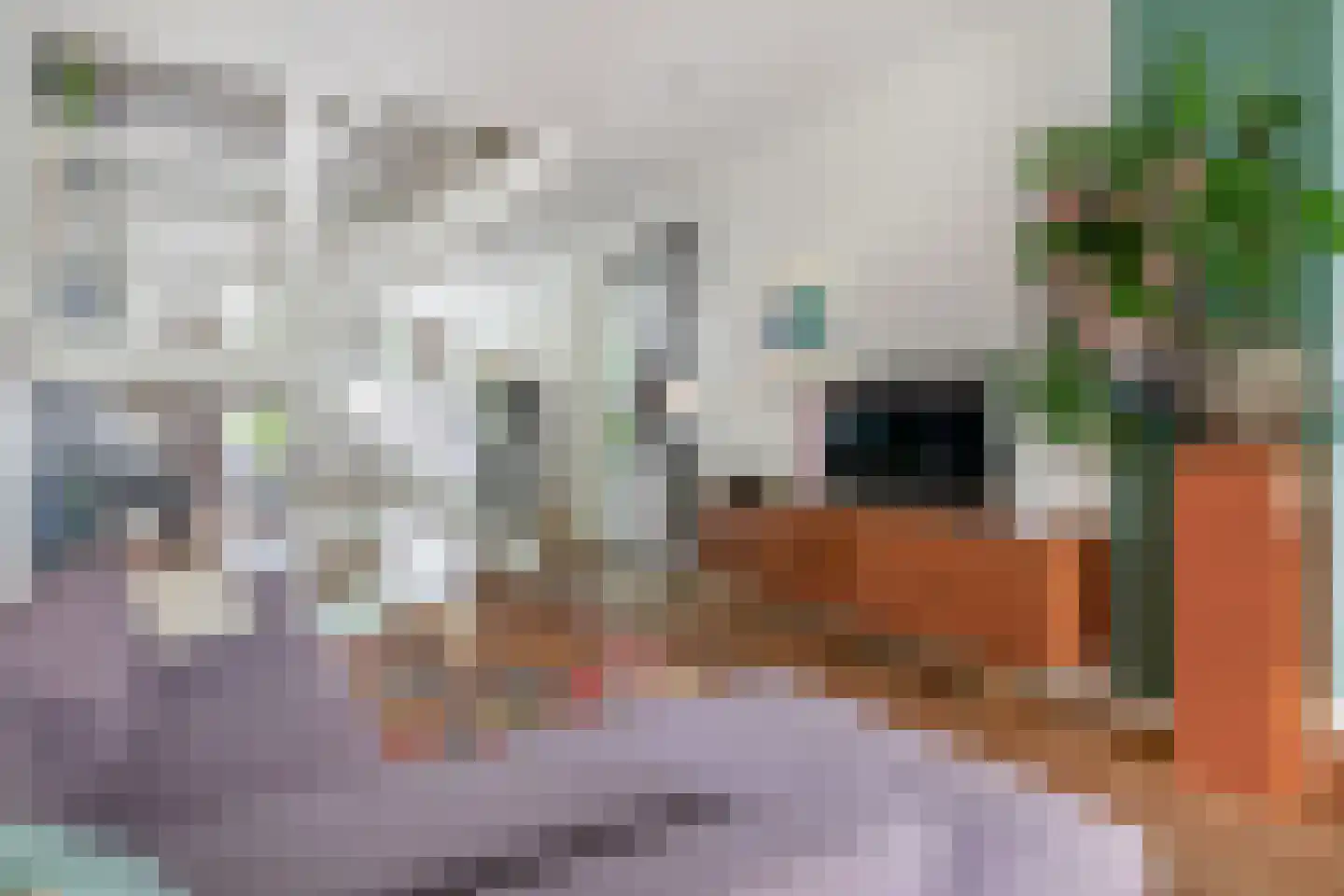 's-Gravendijkwal 38 B Rotterdam thumbnail 11