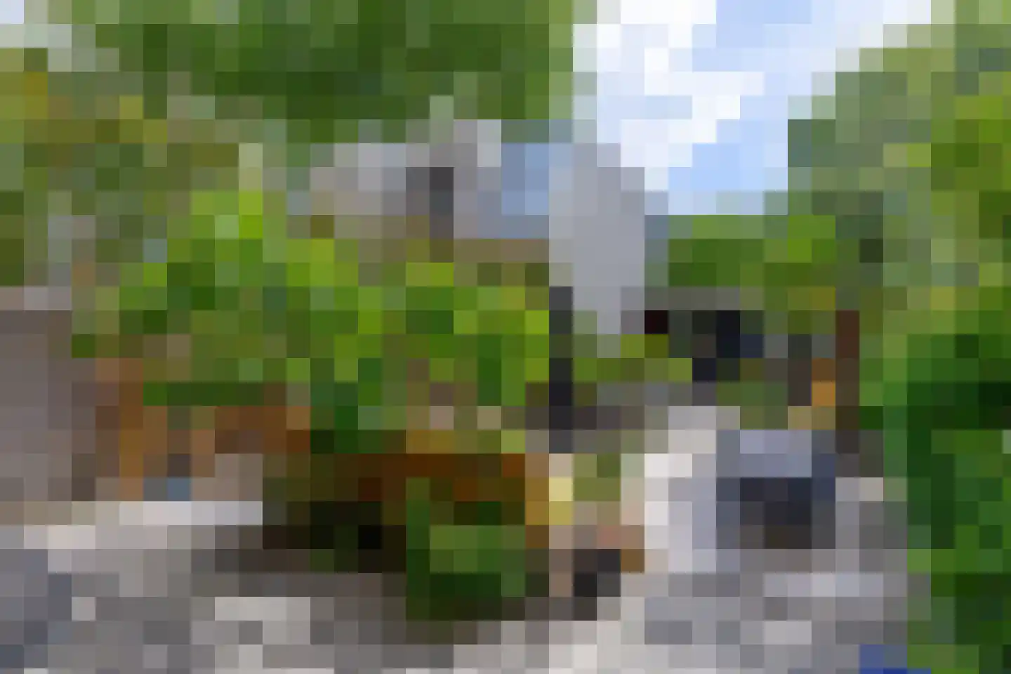 's-Gravendijkwal 38 B Rotterdam thumbnail 13