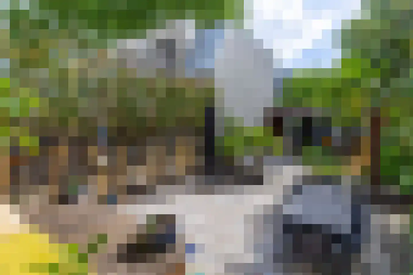 's-Gravendijkwal 38 B Rotterdam thumbnail 14