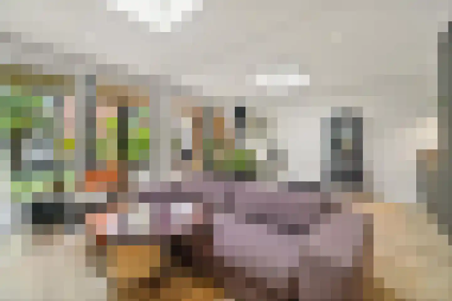 's-Gravendijkwal 38 B Rotterdam thumbnail 18