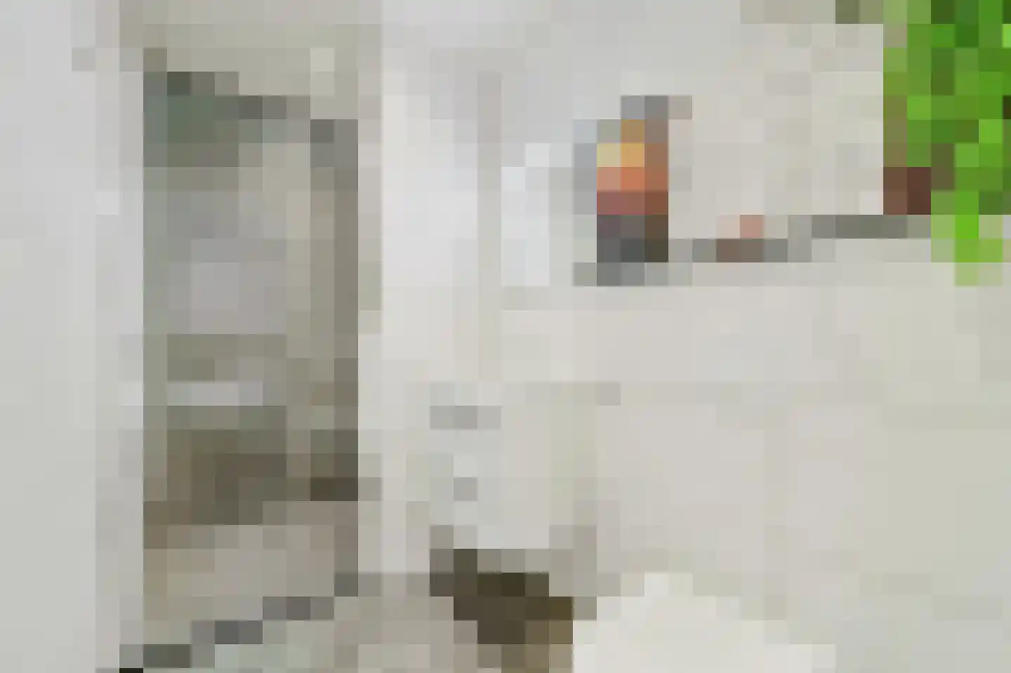 's-Gravendijkwal 38 B Rotterdam thumbnail 30