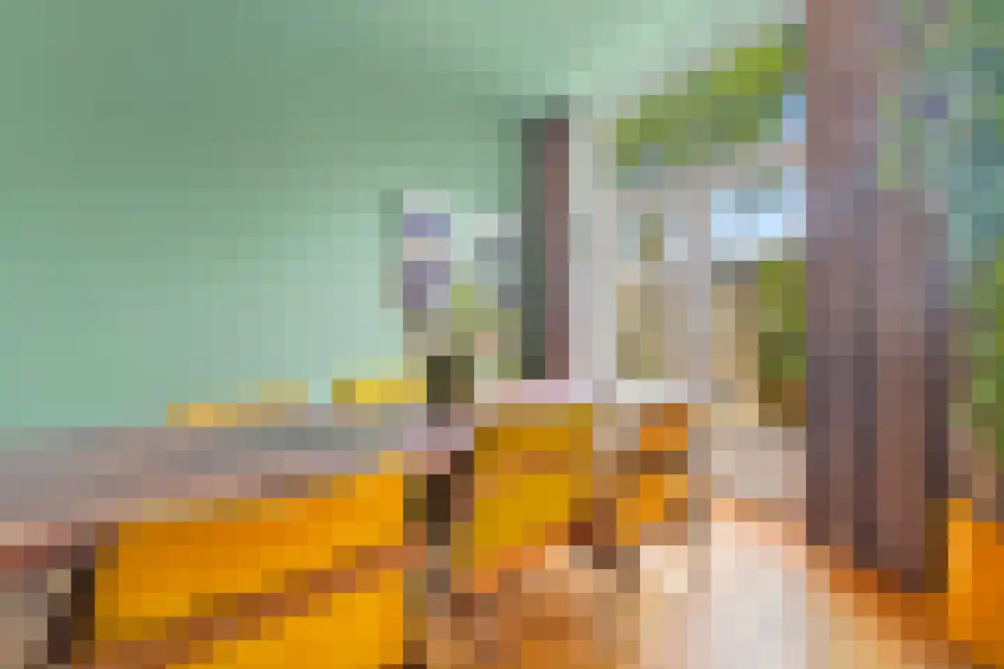 's-Gravendijkwal 38 B Rotterdam thumbnail 34