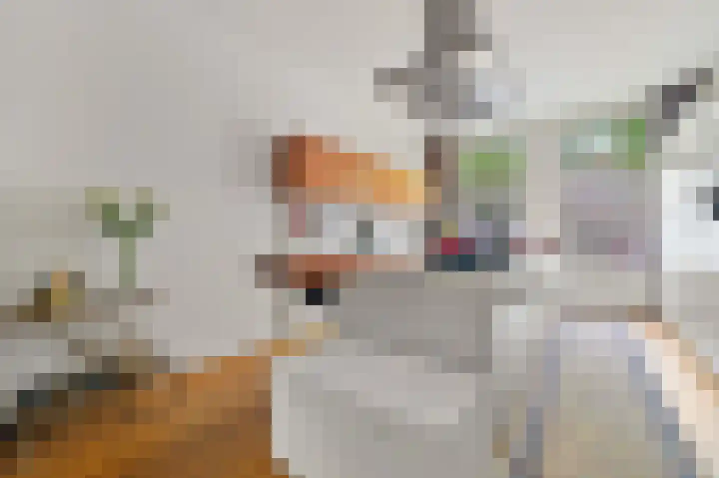 's-Gravendijkwal 38 B Rotterdam thumbnail 35