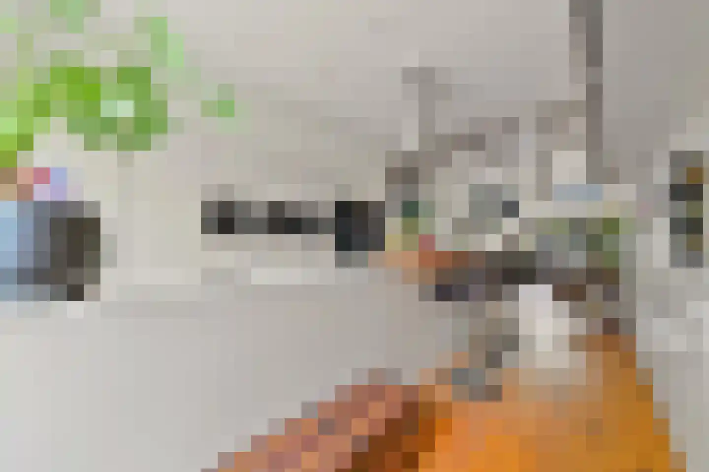 's-Gravendijkwal 38 B Rotterdam thumbnail 36