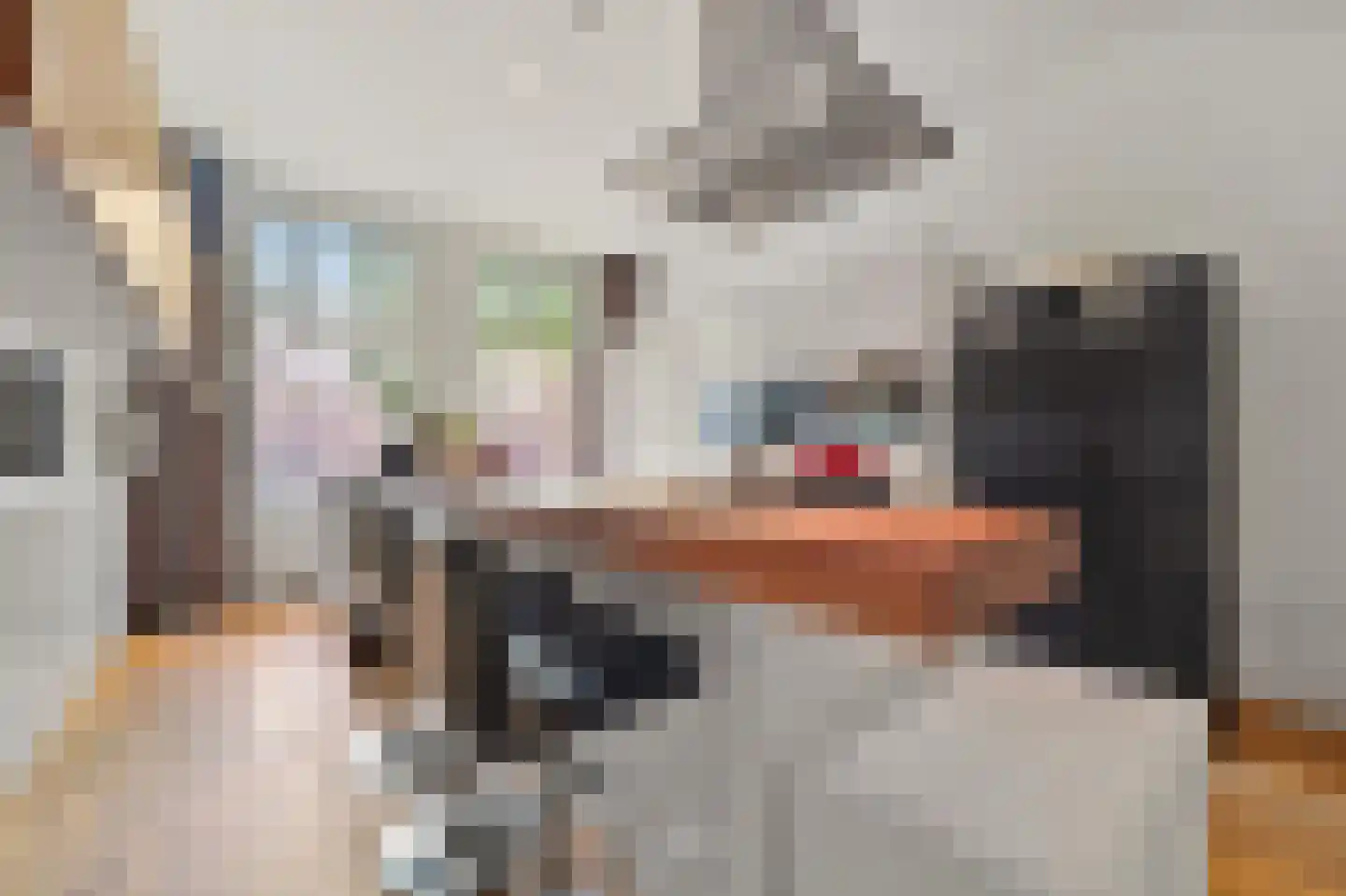 's-Gravendijkwal 38 B Rotterdam thumbnail 37