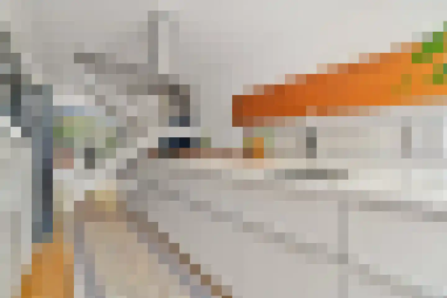 's-Gravendijkwal 38 B Rotterdam thumbnail 4