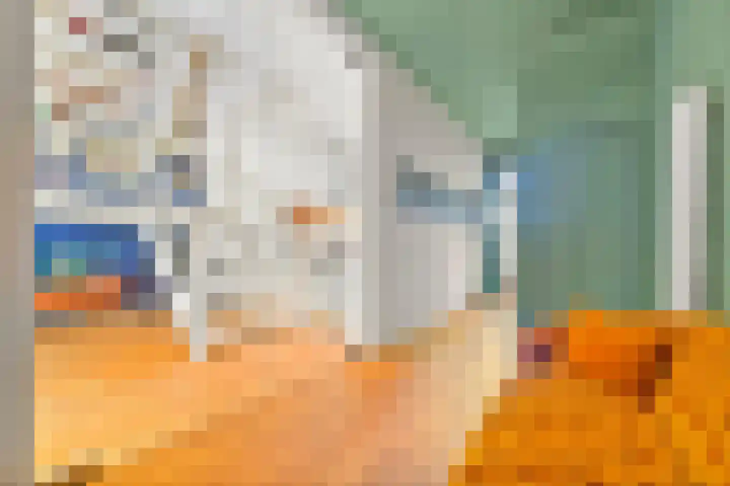 's-Gravendijkwal 38 B Rotterdam thumbnail 44